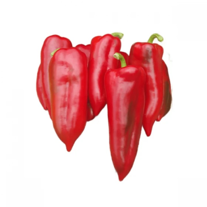 Seminte ardei kapia Kaprima F1, 100 seminte