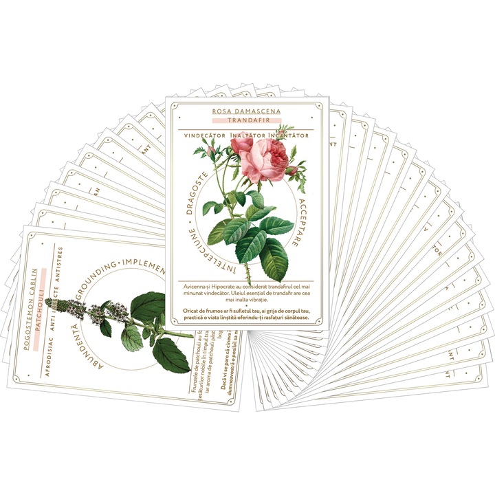 Librarie 30 de cartonase despre uleiuri esentiale