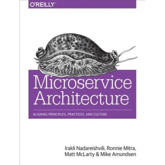 Microservice Architecture: Aligning Principles, Practices, and Culture, Irakli Nadareishvili (Author)