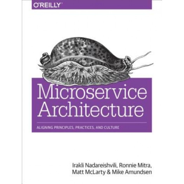 Microservice Architecture: Aligning Principles, Practices, and Culture, Irakli Nadareishvili (Author)