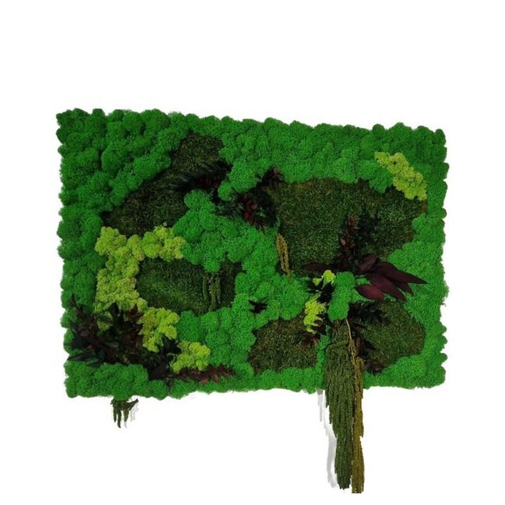 Tablou cu licheni naturali stabilizati, muschi si alte plante criogenate, verde-moss, 50x70 cm