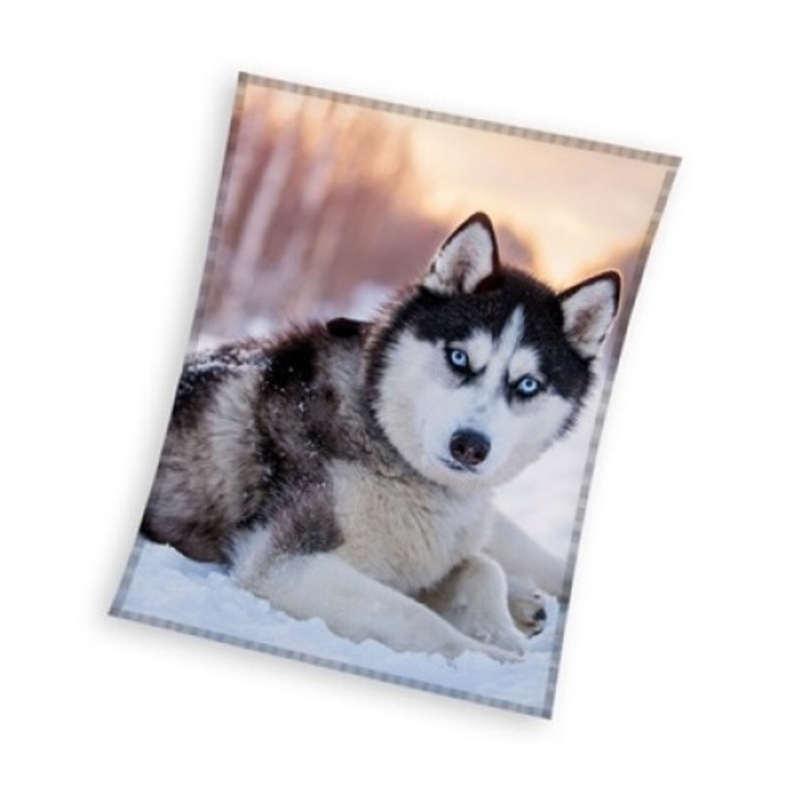 Kutyás Husky coral fleece polár takaró 150x200cm