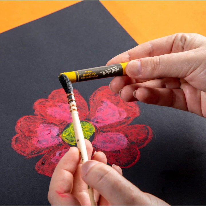 Set pastel solubil Mont Marte, 12 buc