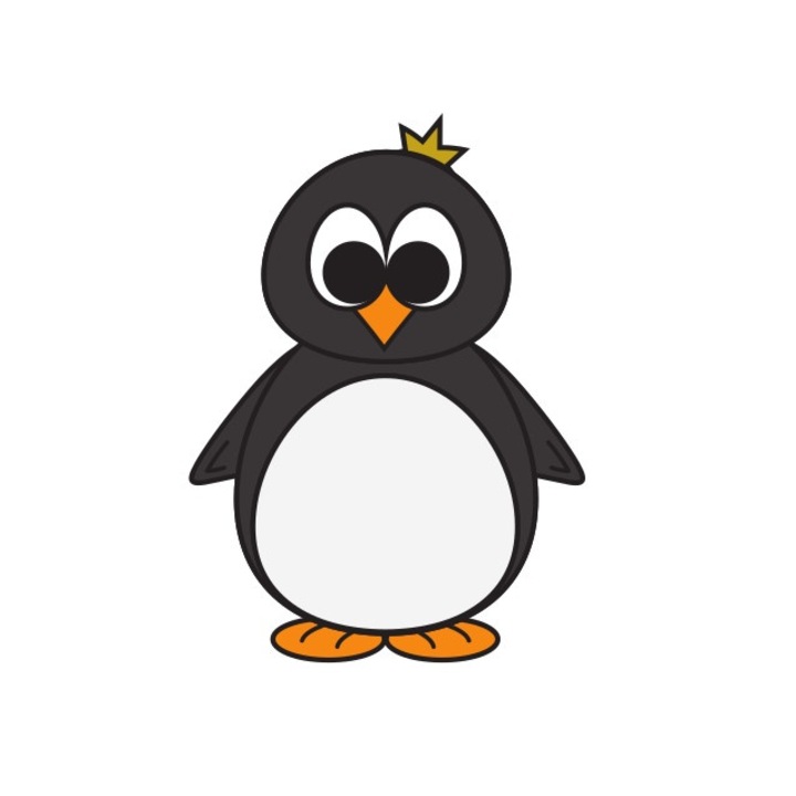 Petic transfer termic, Model Pinguin, 150 mm x 150 mm, Negru / Alb