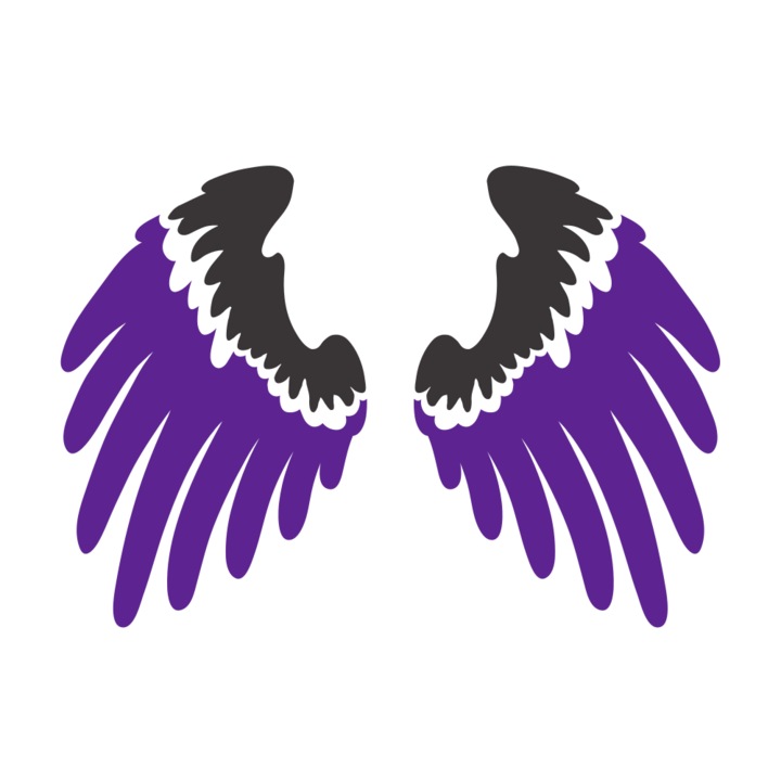 Представете си термотрансфер, Wings, 150 мм x 150 мм, трансфер за текстил, дизайн за тениски, многоцветен