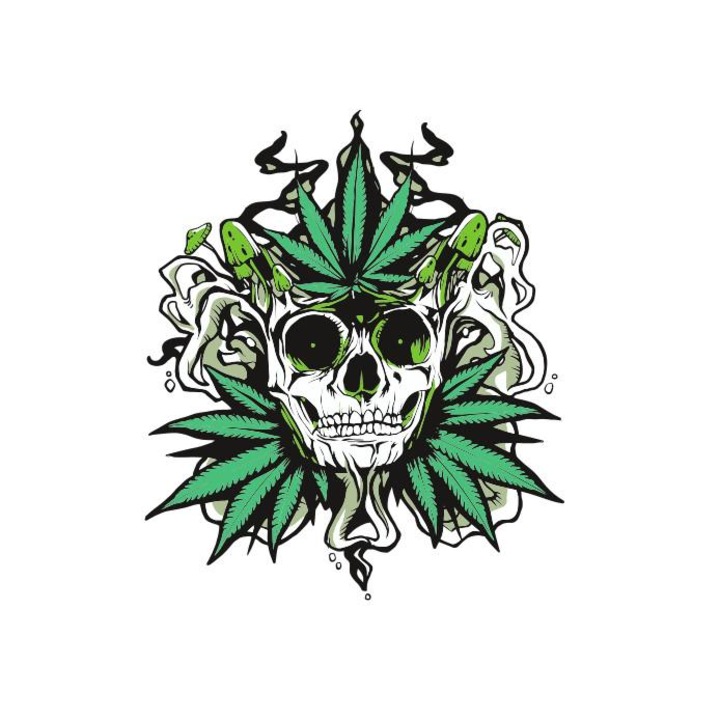 Imagine трансфер термичен, Stoned Head, 150mm x 150mm, за текстил, многоцветен