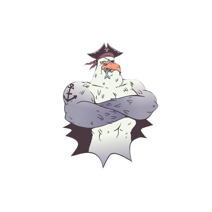 Transfer DTF pentru textile, design pescarus pirat, 150x150mm, Multicolor