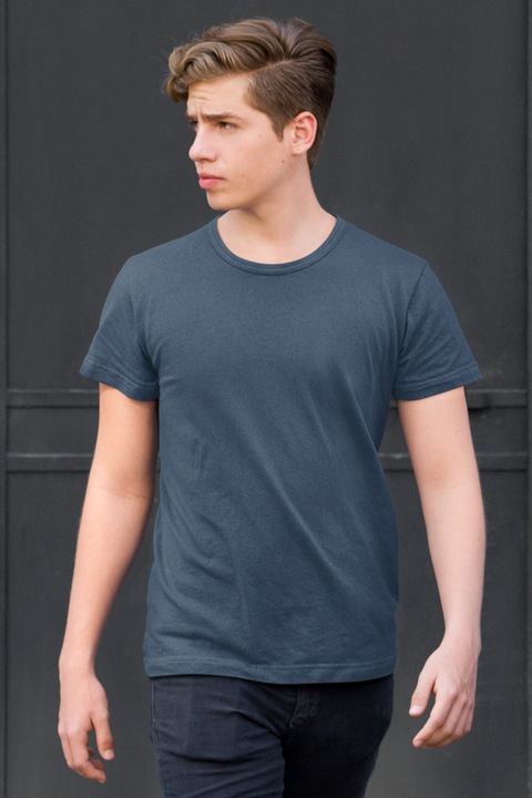 Tricou barbat din bumbac 100%, Casual Basic Fit, Albastru prafuit