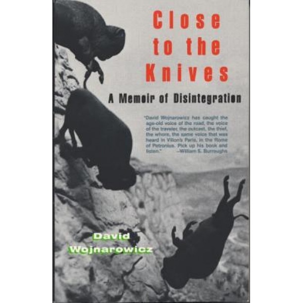Close to the Knives: A Memoir of Disintegration, David Wojnarowicz