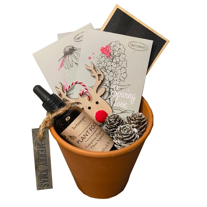 Set cadou, Ambient Box, Kitul Gradinarului de Craciun – Cultiva iubirea pentru natura