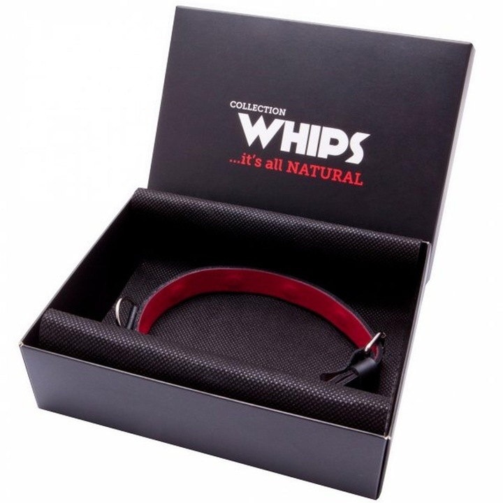 Boss Series, Set bondage, Legaturi-guler Dama Whips, Subtire