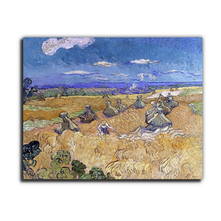 Vincent Van Gogh: Búzamező aratóval, vászonkép, 150x120