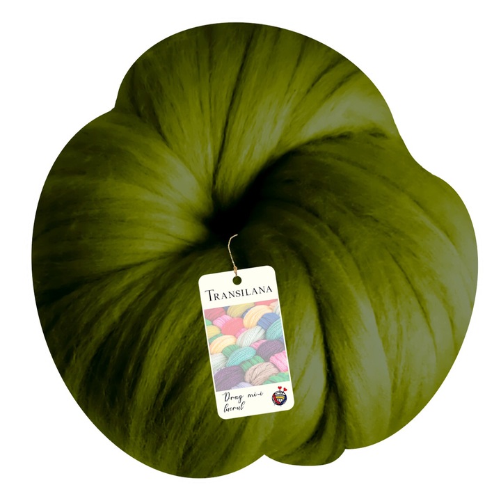 Banda lana, Transilana, 100% lana merinos, culoare Verde kaki D2011, 250g, 25m