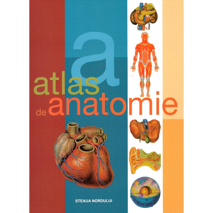 Atlas De Anatomie - Dr. Adolfo Cassan
