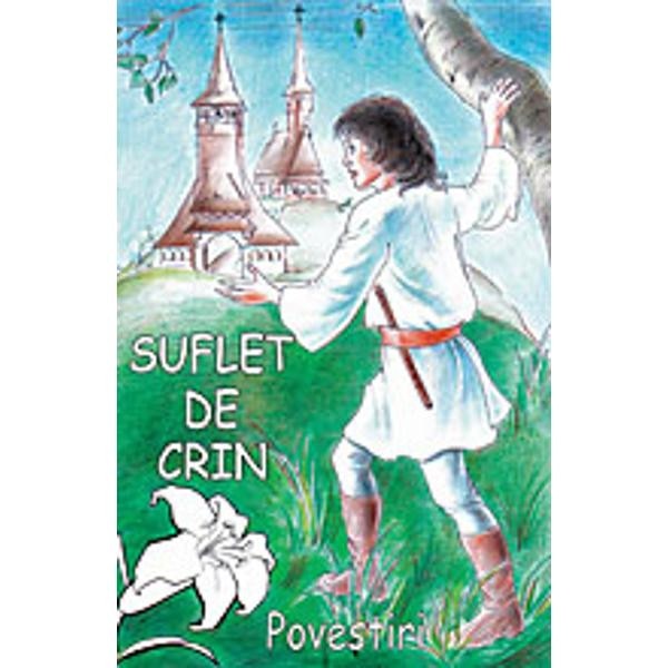 Suflet de crin - Povestiri