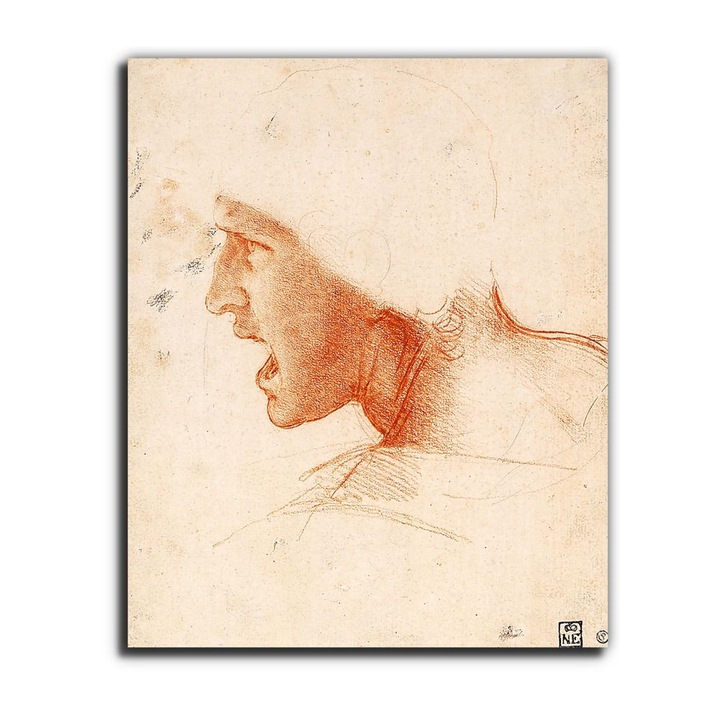 Leonardo da Vinci: Harcos feje, tanulmány, vászonkép, 115x140