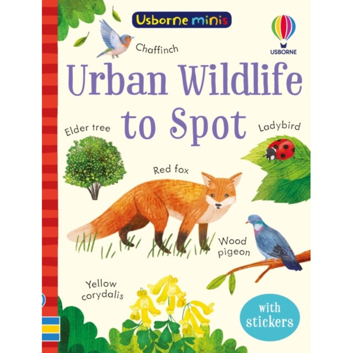 Urban Wildlife To Spot - Kate Nolan