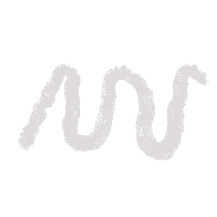 Beteala alba, 2, 4 m, 1 bucata