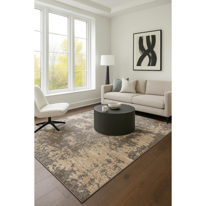 Covor Modern, Home Vista, Anny 33002, Gri / Bej, 195x300 cm