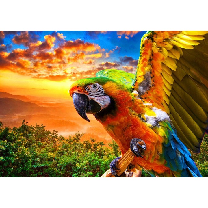 Puzzle 1000 de piese Bluebird Puzzle - Papagal (Bluebird-Puzzle-F-90263)