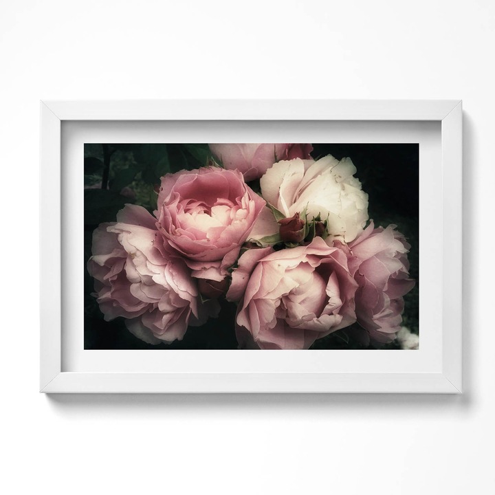 Tablou Inramat, Wallfluent, buchet de trandafiri roz de epoca, Rama alba, 80x60 cm, 010330010170100280205