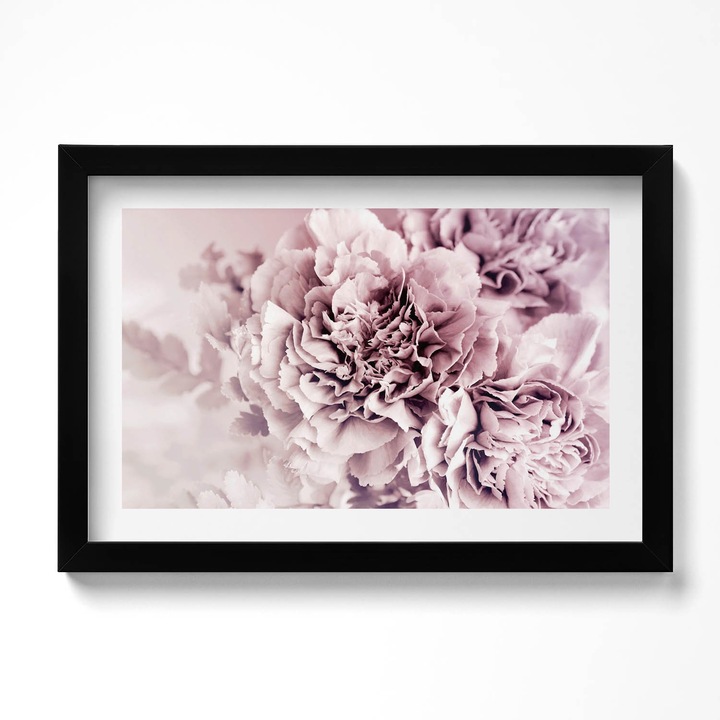 Tablou Inramat, Wallfluent, Petale de bujori roz pal, Rama negru, 30x20 cm, 010330010100200280560