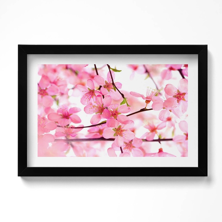 Tablou Inramat, Wallfluent, Flori roz de primavara pe ramuri, Rama negru, 30x20 cm, 010330010100200280563
