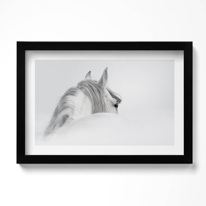 Tablou Inramat, Wallfluent, Cal andaluz in ceata, Rama negru, 30x20 cm, 010330010100200280231