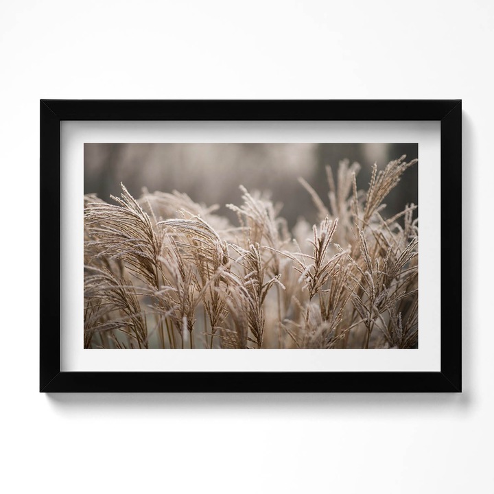 Tablou Inramat, Wallfluent, Boho ierburi delicate, Rama negru, 30x20 cm, 010330010100200280609