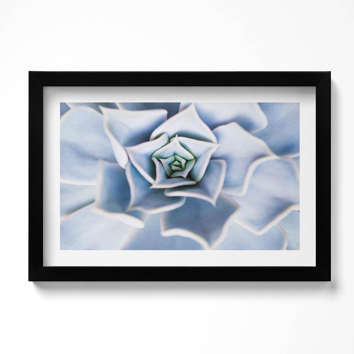 Tablou Inramat, Wallfluent, Planta de flori, Rama negru, 30x20 cm, 010330010100200280403