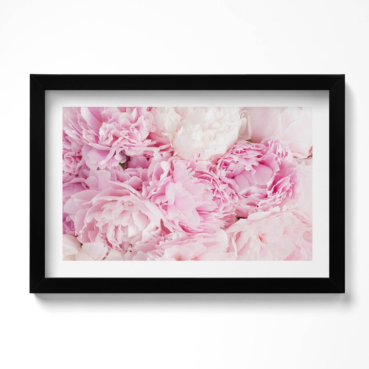 Tablou Inramat, Wallfluent, Flori delicate de bujor, Rama negru, 30x20 cm, 010330010100200280618