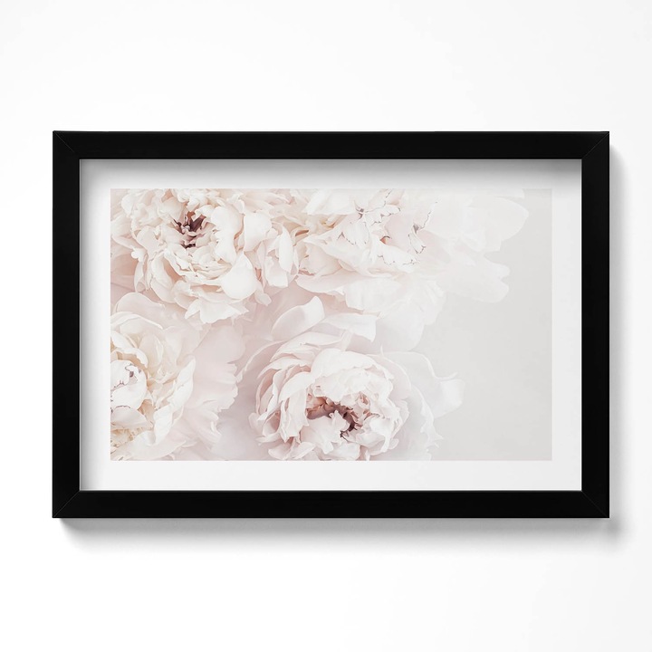 Tablou Inramat, Wallfluent, Bujori pastel, Rama negru, 30x20 cm, 010330010100200280422