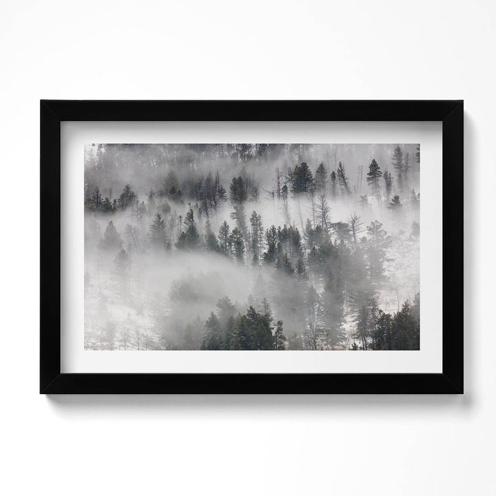 Tablou Inramat, Wallfluent, Peisaj de padure incetosata, Rama negru, 30x20 cm, 010330010100200280520