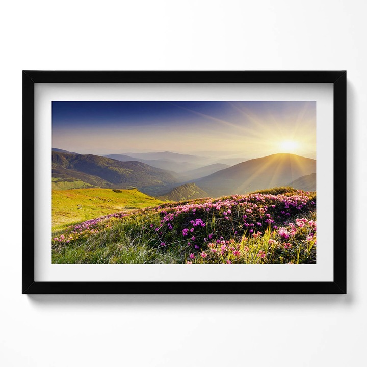 Tablou Inramat, Wallfluent, Munti si pajiste cu flori, Rama negru, 60x40 cm,010330010110200279857