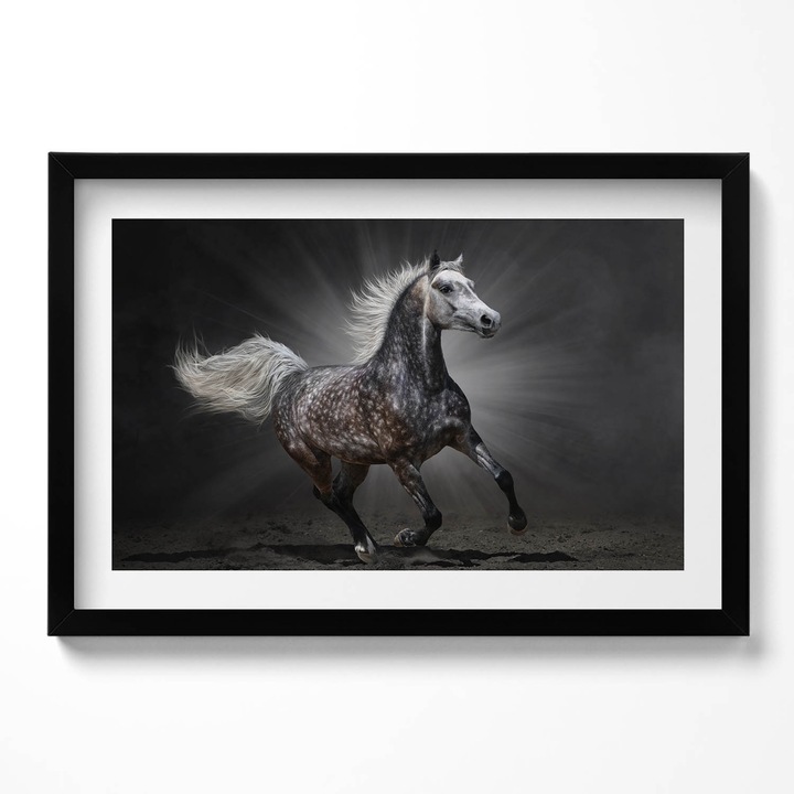 Tablou Inramat, Wallfluent, Cal in galop, Rama negru, 60x40 cm,010330010110200280197