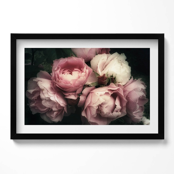 Tablou Inramat, Wallfluent, buchet de trandafiri roz de epoca, Rama negru, 60x40 cm,010330010110200280205