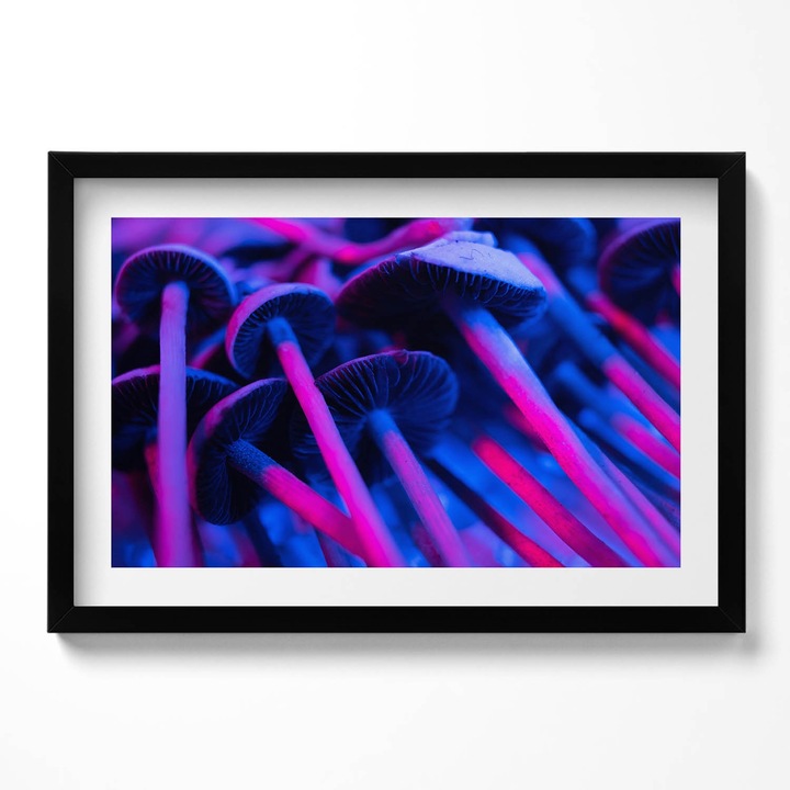 Tablou Inramat, Wallfluent, Ciuperci magice colorate, Rama negru, 60x40 cm,010330010110200280233