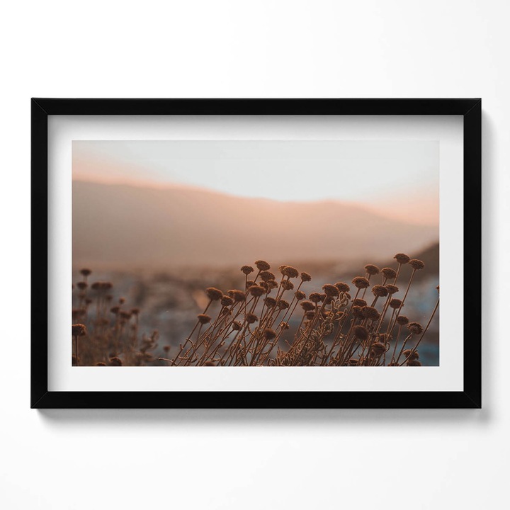 Tablou Inramat, Wallfluent, Peisaj de iarba romantic Boho, Rama negru, 60x40 cm,010330010110200281025