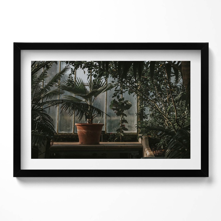 Tablou Inramat, Wallfluent, Plante de epoca pe fereastra, Rama negru, 60x40 cm,010330010110200281098