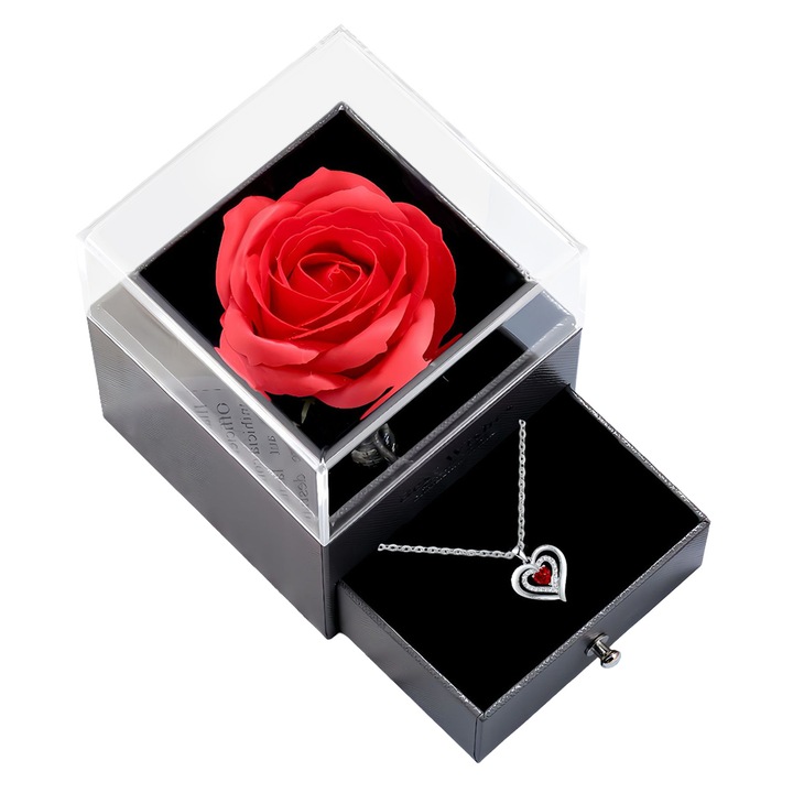 Csúszásgátló és mosható szőnyeg I Ajándékötlet állatbarátoknak I Beltéri és kültéri szőnyeg 40x60 cm