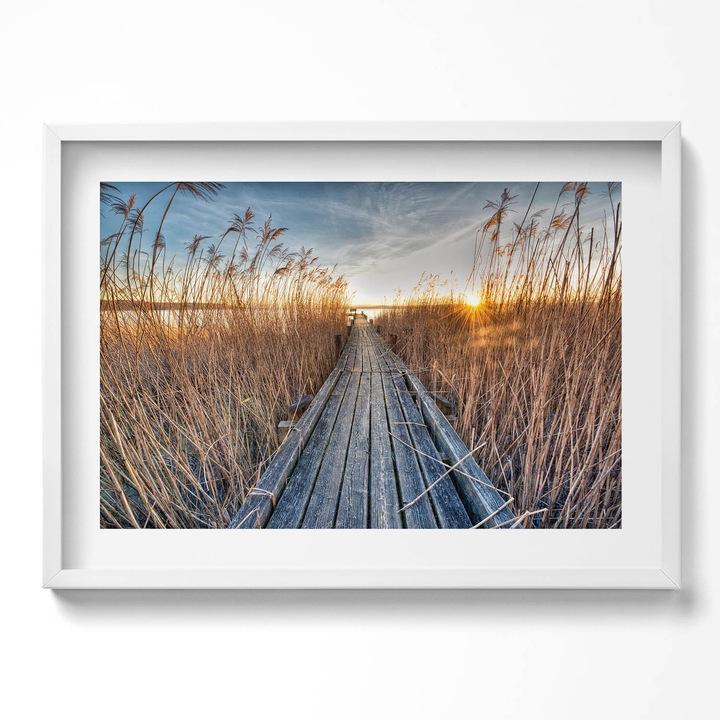 Tablou Inramat, Wallfluent, Cerb abstract cu trasaturi umane, Rama alba, 70x50 cm, 010330010120100280063