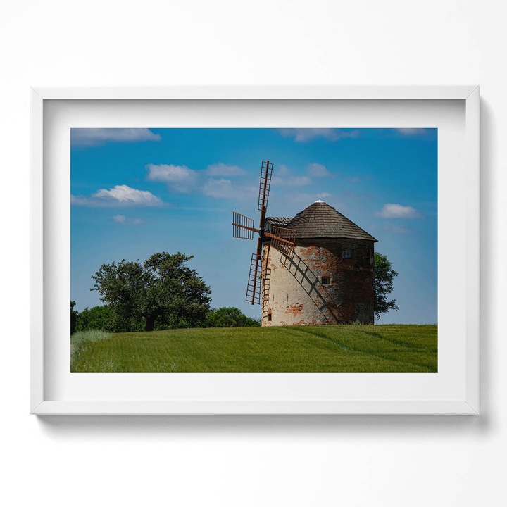 Tablou Inramat, Wallfluent, Buchet vintage de flori botanice, Rama alba, 70x50 cm, 010330010120100280236