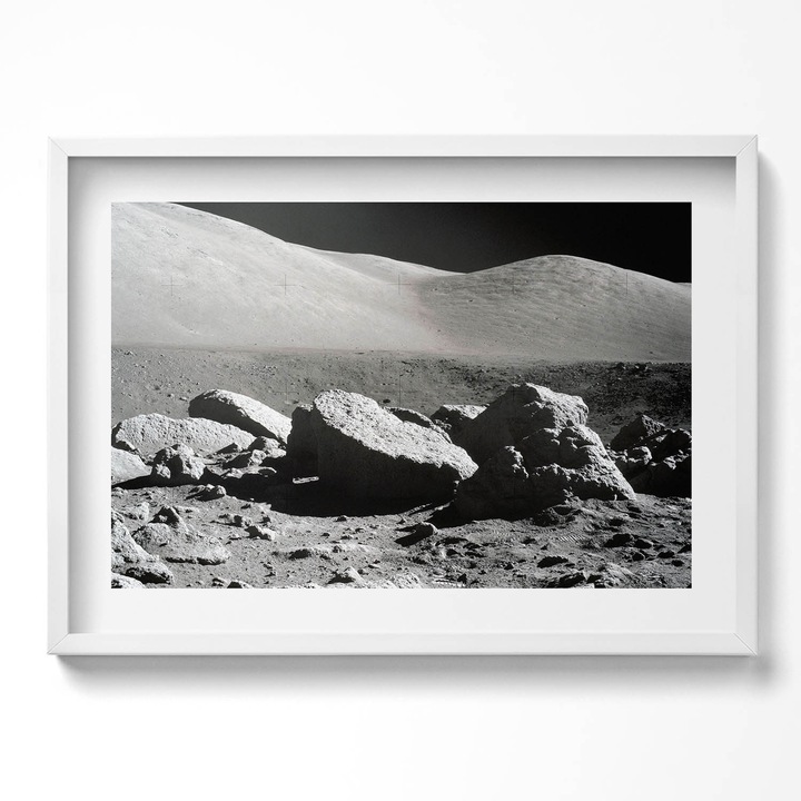 Tablou Inramat, Wallfluent, Frunze verzi salbatice, Rama alba, 70x50 cm, 010330010120100281075