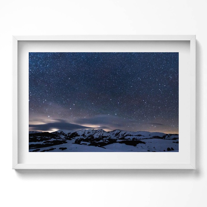 Tablou Inramat, Wallfluent, Frunze verzi exotice, Rama alba, 70x50 cm, 010330010120100281202