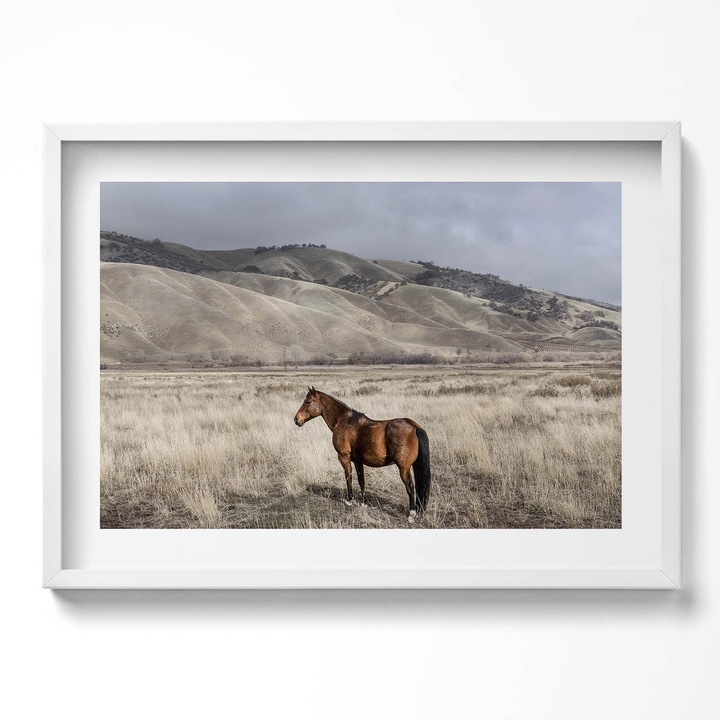 Tablou Inramat, Wallfluent, Peisaj urban alb-negru noaptea, Rama alba, 70x50 cm, 010330010120100281084