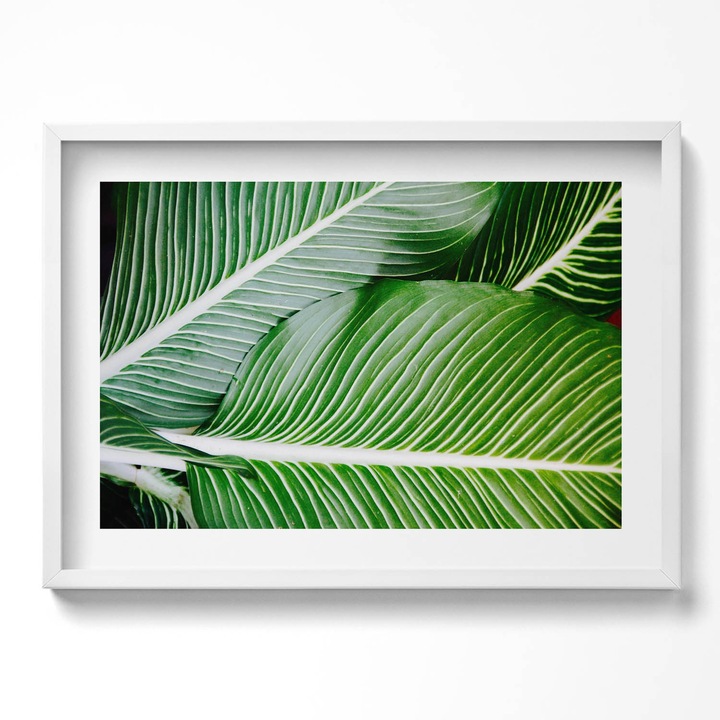 Tablou Inramat, Wallfluent, Frunze de aur ale plantei, Rama alba, 70x50 cm, 010330010120100281241