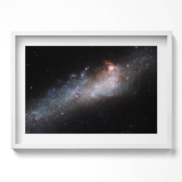 Tablou Inramat, Wallfluent, Cal de calarie printre iarba, Rama alba, 70x50 cm, 010330010120100280499