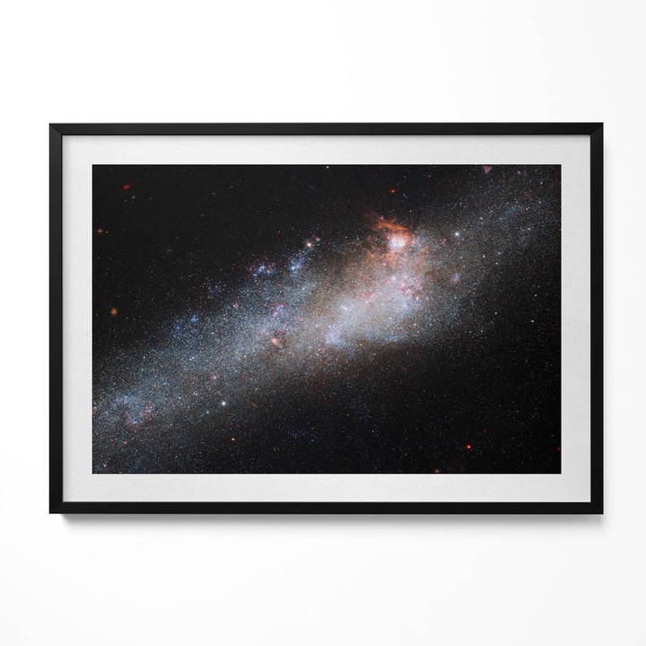 Tablou Inramat, Wallfluent, Cal de calarie printre iarba, Rama negru, 100x70 cm, 010330010130200280499