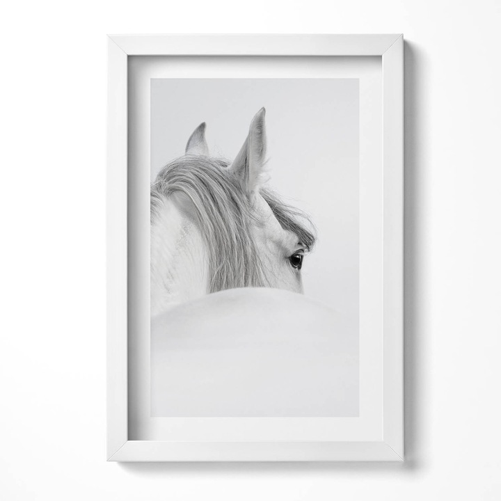 Tablou Inramat, Wallfluent, Cal andaluz in ceata, Rama alba, 40x60 cm, 010330010080100280231