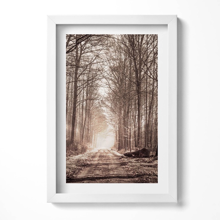 Tablou Inramat, Wallfluent, Calea padurii in culori sepia, Rama alba, 40x60 cm, 010330010080100280170